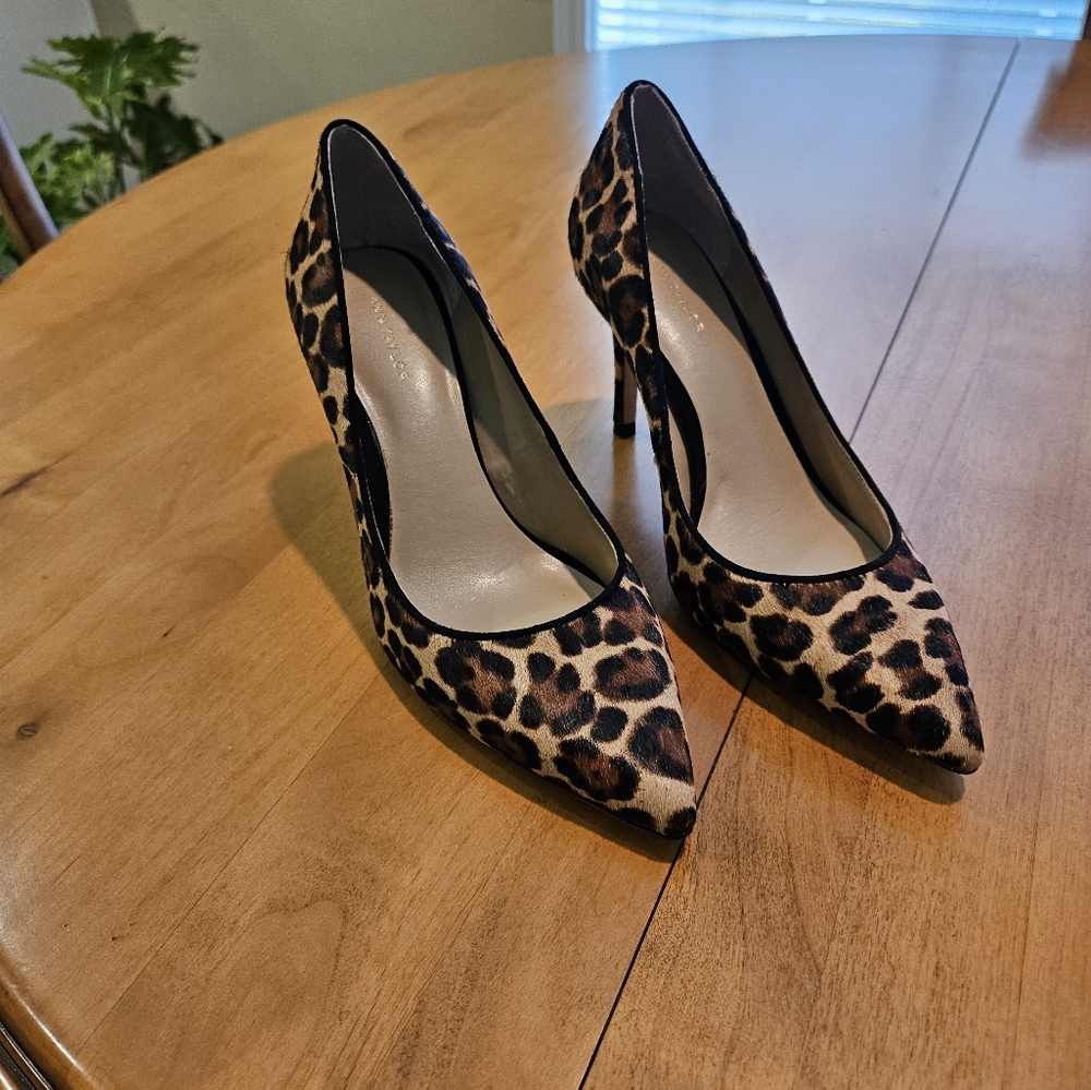 Ann Taylor Women's Mila Haircalf Pump